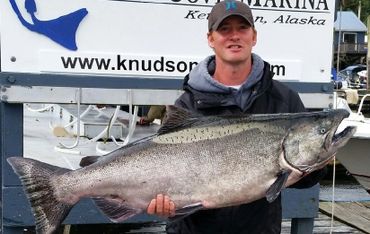 Captain Ty taking credit for a cruise ship guests BIG king salmon.  To the Limit Sportfishing. Ktn, A