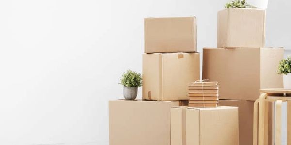 A stack of cardboard moving boxes with small plants and a lamp on top.
