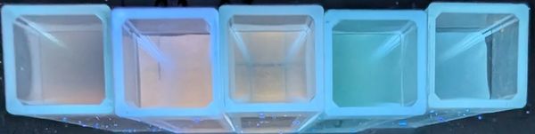 Five transparent ice cubes with a bluish tint arranged in a row.