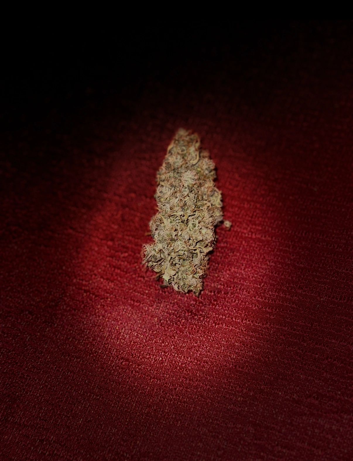 Close-up of a dried cannabis bud on a red textured surface.