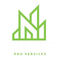 LINMER PRO SERVICES