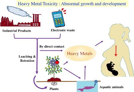 Heavy Metal Toxicity A Blind Evil