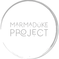 Pause, explore, understand 
& lead with confidence 