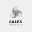 salesvelocity.me