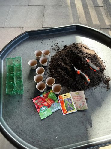 Gardening supplies including soil, seed packets, pots, and tools arranged on a tray.
