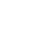 FPM
