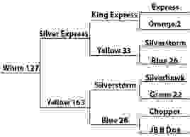 Maple Forest Whitetails Doe Pedigree Silver Express Silverstorm Chopper