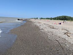 The Sea Glass Treasure