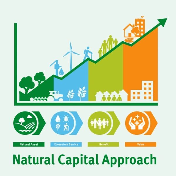 Graph showing Natural Capital Approach stages from natural assets to value.