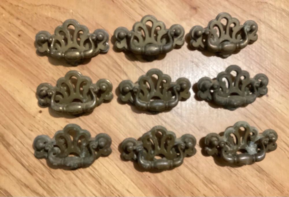 9 Coastal Brass Shell Pulls