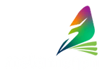 metamorph project