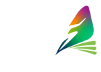 metamorph project