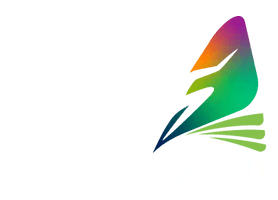 metamorph project