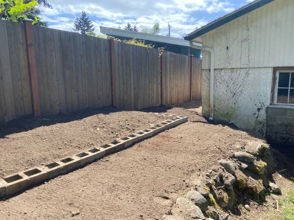Photo after the black berries and ivy had been removed and uprooted. dug trench to fit bricks inside