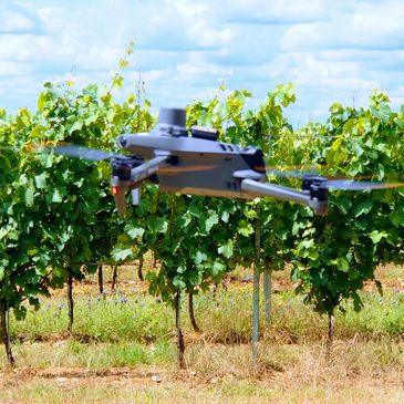 Drone conducting a vineyard survey in Hampshire