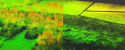 Comparison of DSM and DTM generated by drone Lidar survey