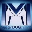 MASTER DOG TRAINING