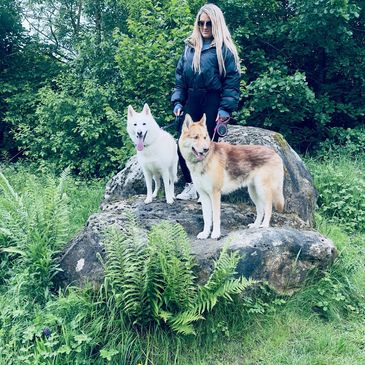 Woman with two dogs standing on a large rock in a lush green park.