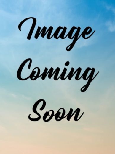 Placeholder image with 'Image Coming Soon' text on a sky background.