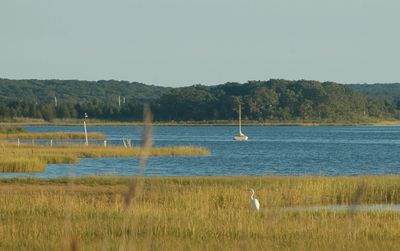 Accabonac Harbor