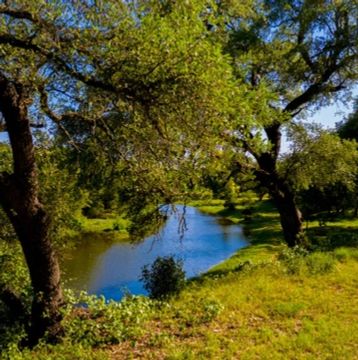 Wooded relaxation Austin Hill Country RV Park Air Field XS12