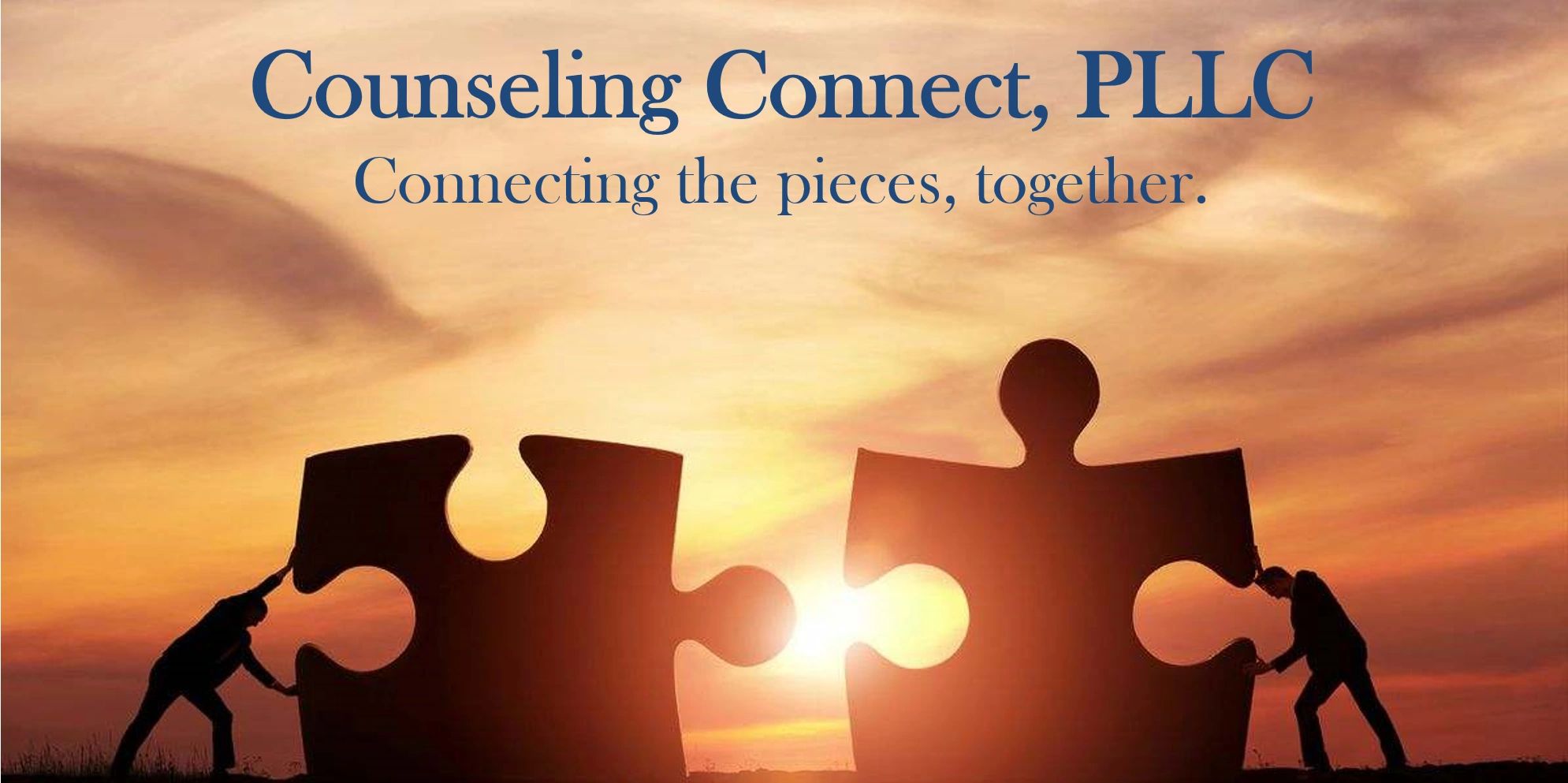 Mental Health Services Counseling Connect, Pllc