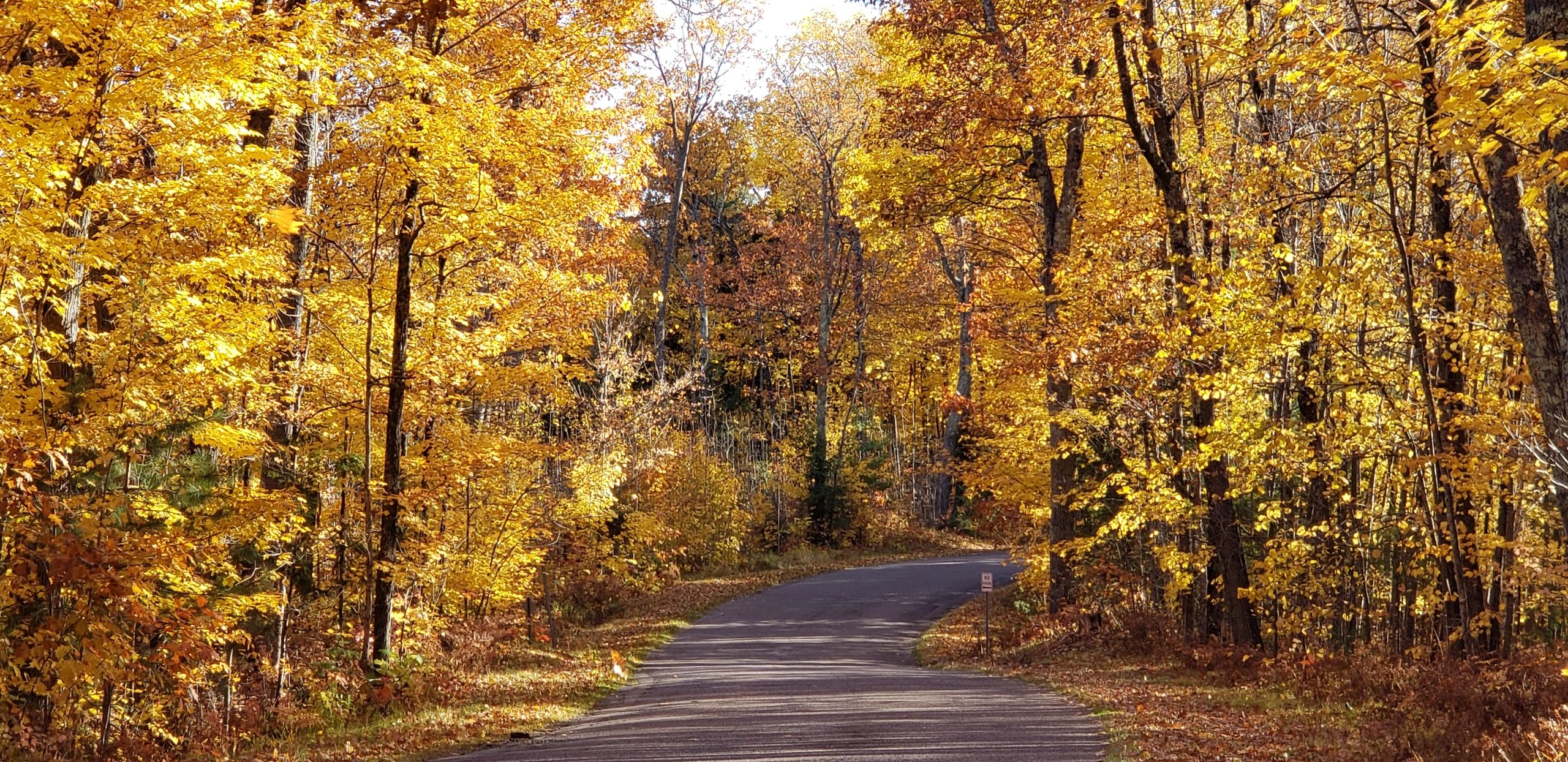 Tranquility Base Candles & Diffusers