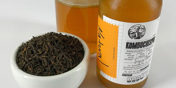 Kombucha natural. Recipiente con SCOBY, té negro, té rojo, azúcar en proceso de fermantación.