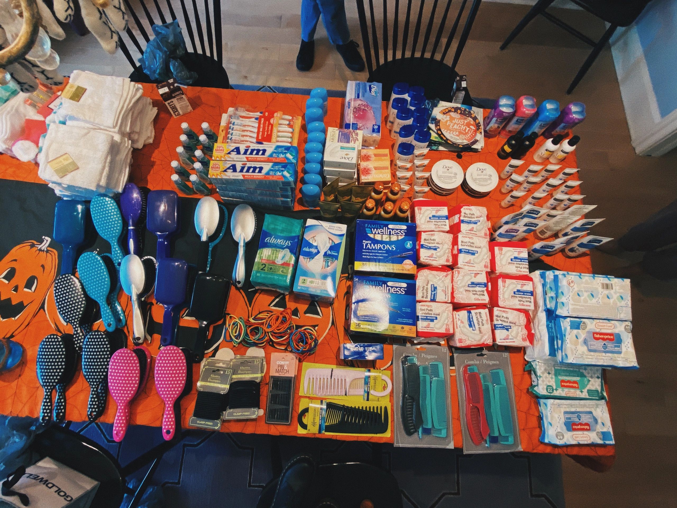 Purses for a Purpose PA