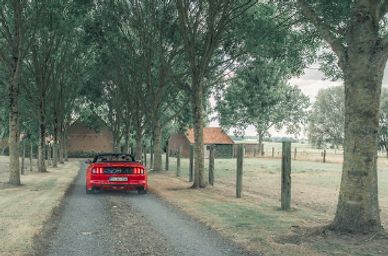 Mariage galerie client