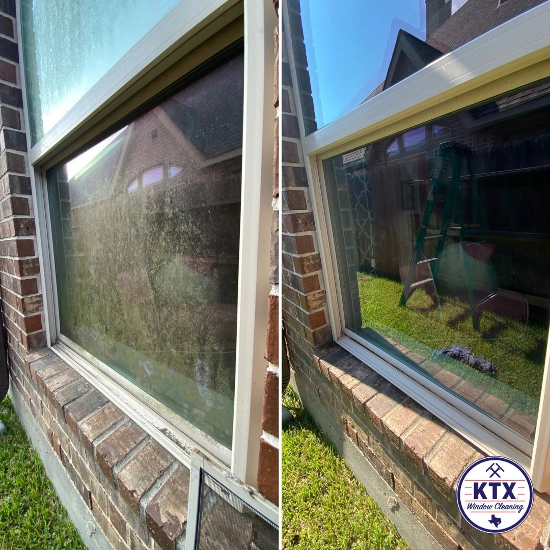 How Often Should You Clean Your Windows?