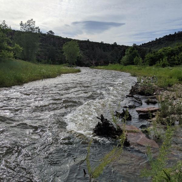 Stream restoration and habitat creation using large woody revetment. 