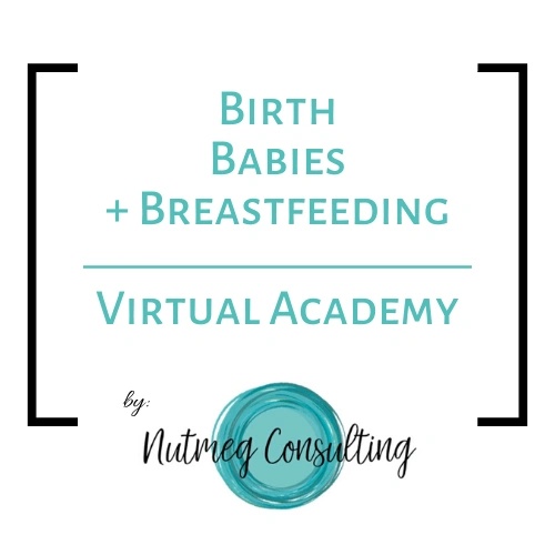 Birth, Babies & Breastfeeding Virtual Academy