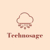 Technosage Consulting