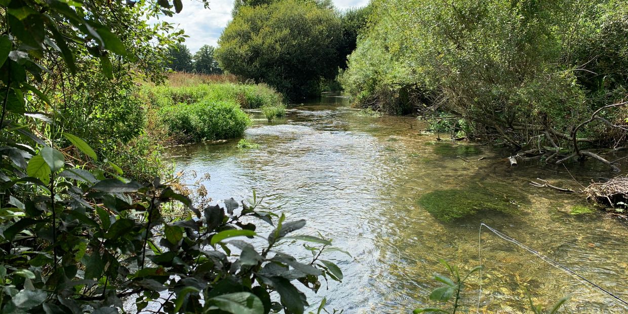 Hookafly - River Frome, Fishing, Chalkstream Fisheries