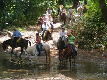 Natural horsemanship Horse Farm long-term rentals