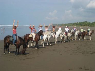 Natural horsemanship Horse Farm long-term rentals