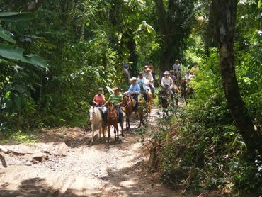 Natural horsemanship Horse Farm long-term rentals