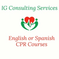 IG Consulting Services