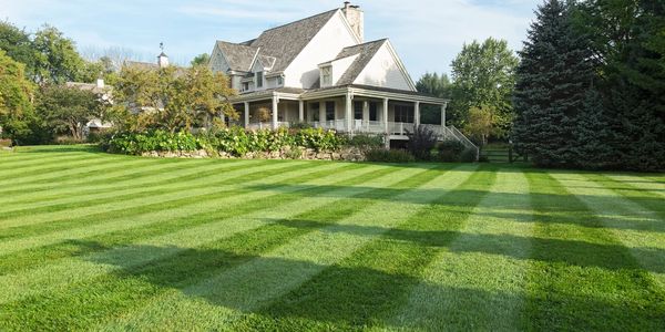 A large white house with a well-manicured striped lawn and surrounding trees.
