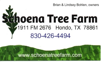 Schoena Tree Farm