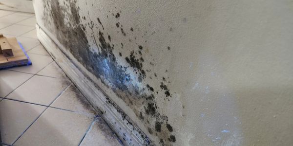 Mold growth on wall