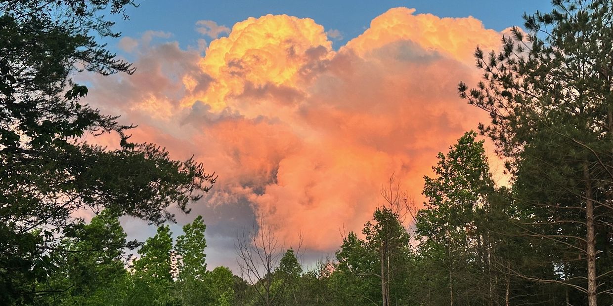 Orange-lit clouds glowing above a green forest at sunset.