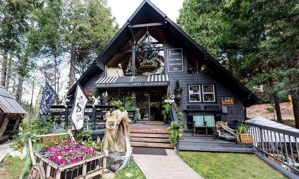 Black house with pine trees around it.