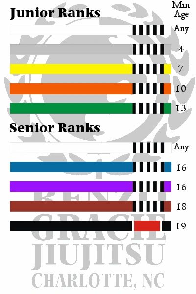 Belt System Discussion : r/bjj