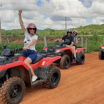 Quadrículo, passeio, trilha, vida saudável 