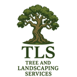 TLS Winchester