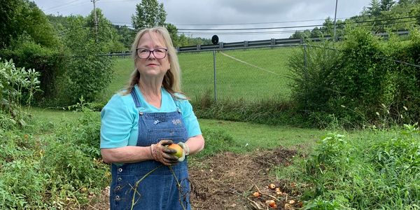 Grandma Peaches gleaning tomatoes from a friend's field