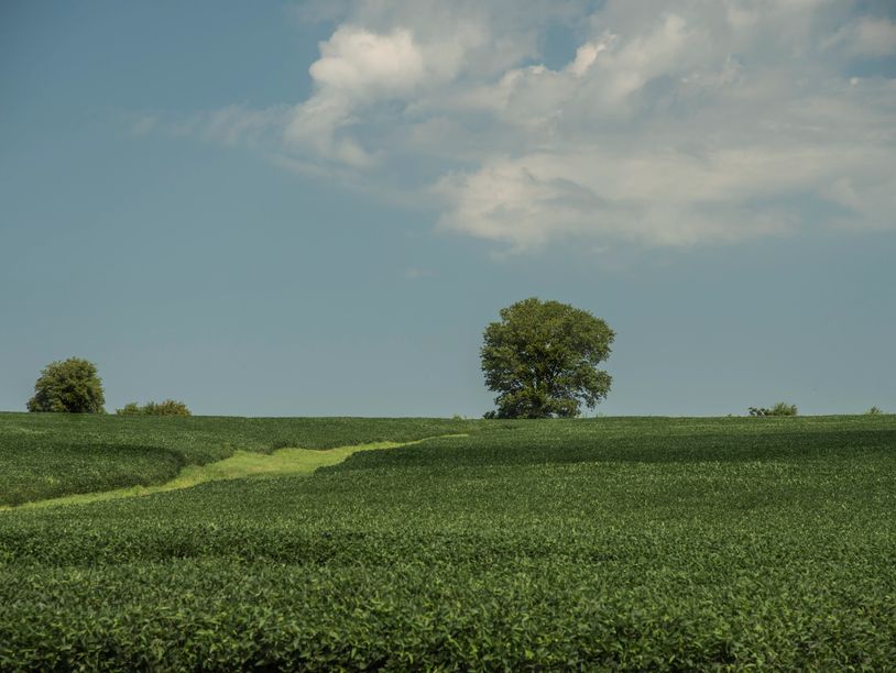 Beautiful green cropland and trees in Nebraska City, Nebraska.