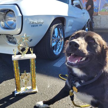 Happy dog next to a trophy and a classic white Pontiac Firebird Trans Am.
